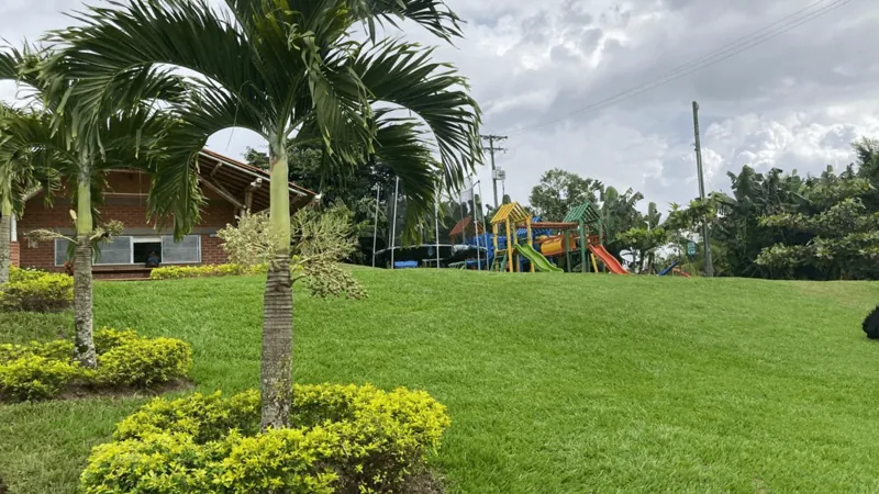 Prado, palmeras y parque infantil de la sede de Cali