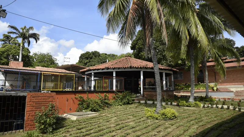 Kiosco y edificios de la sede de Cúcuta entre palmeras