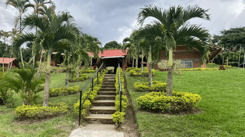 Jardín con palmeras y escaleras de la sede de Armenia
