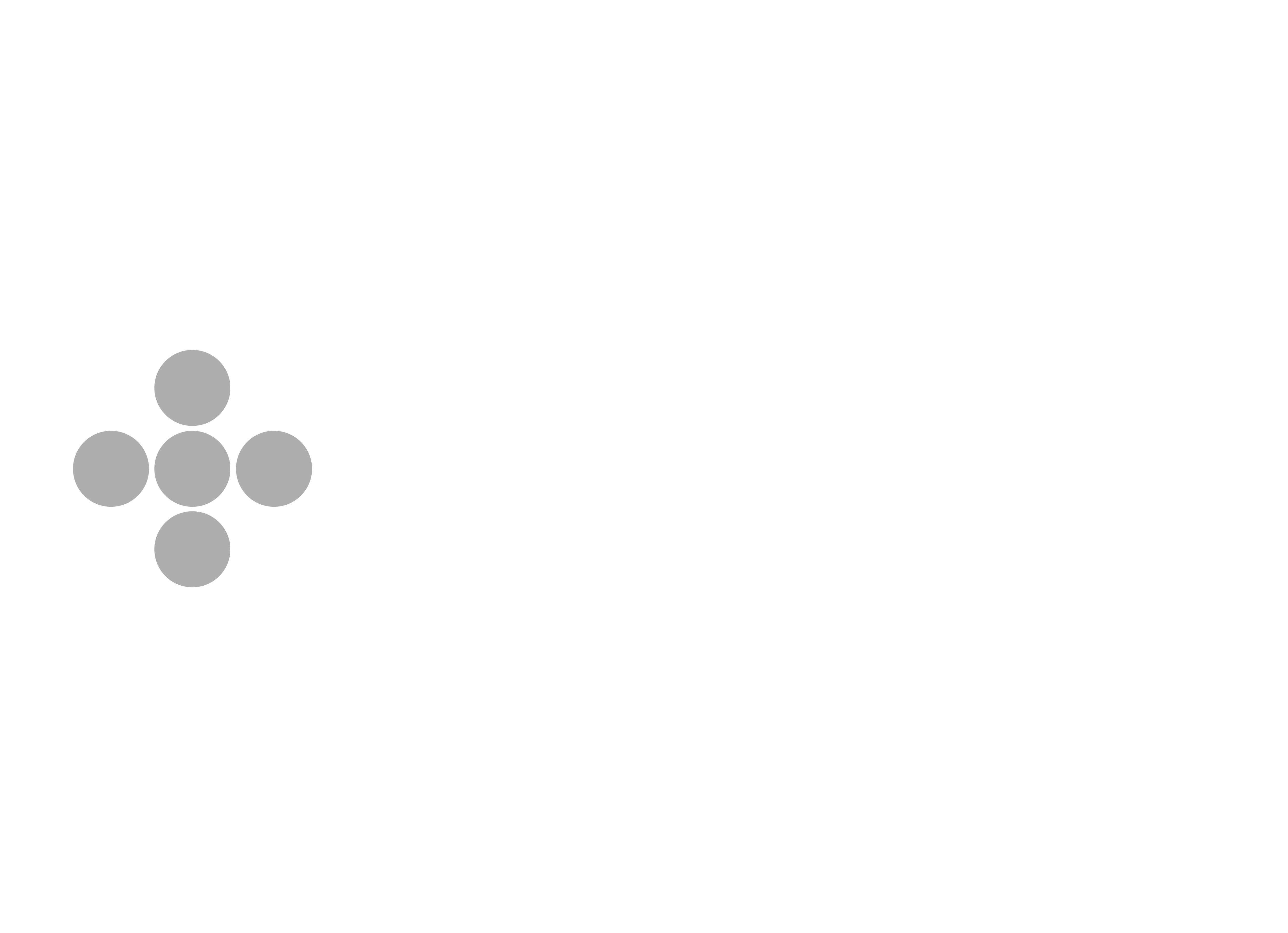 Fundación MAS Logo